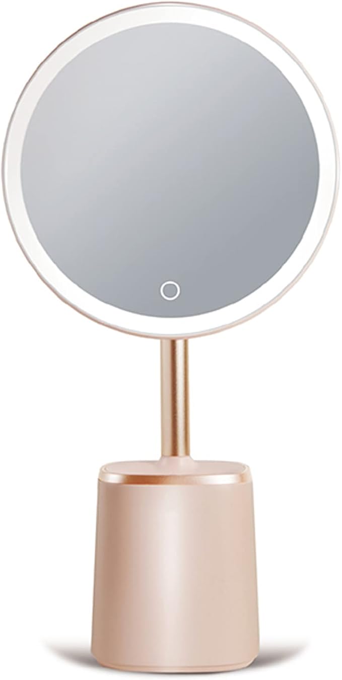 Adjustable Brightness Dressing Table Mirror Desk Mirror with Storage Function 57° Rotatable Table Mirror Touch Switch Vanity Mirror,USB Rechargeable